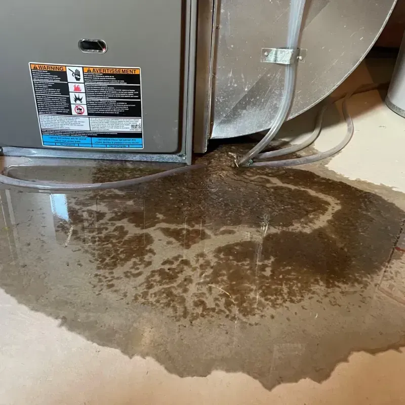 Appliance Leak Cleanup in Winterset, IA